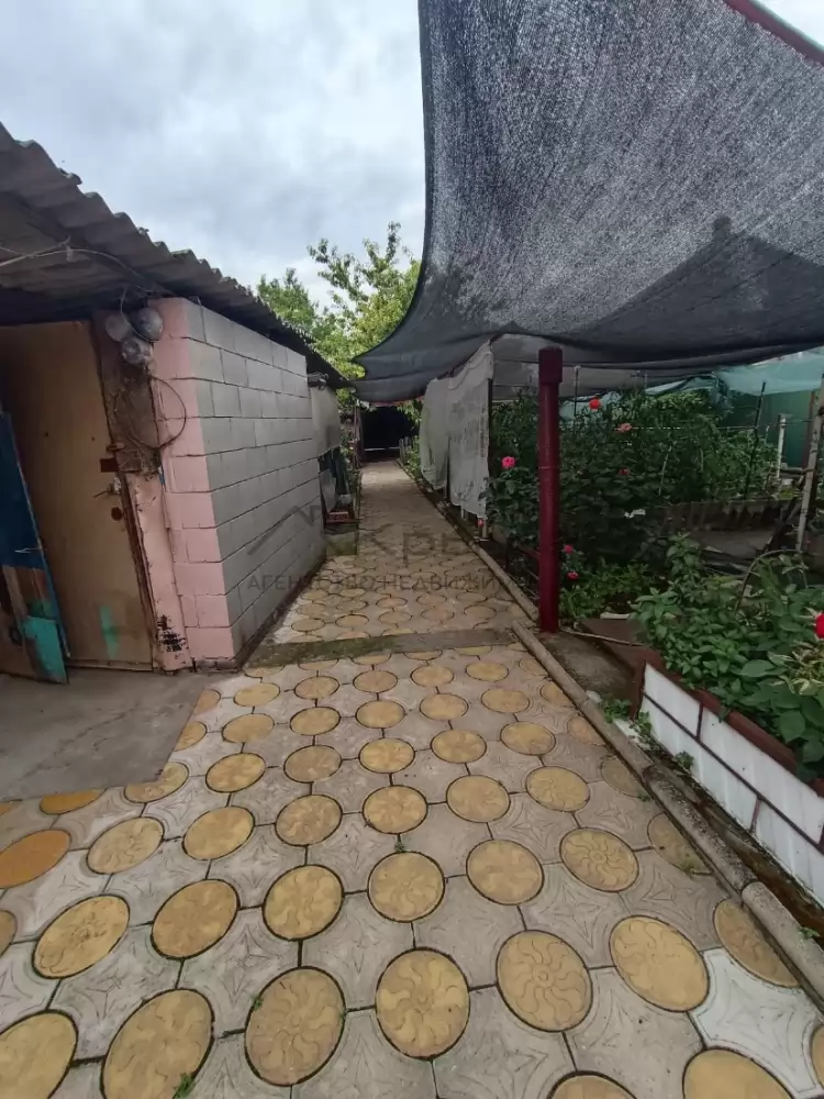 1000016396