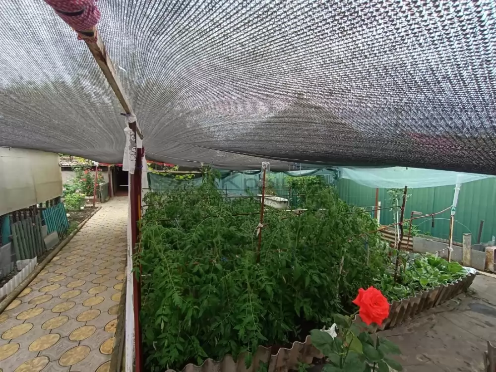 1000016398