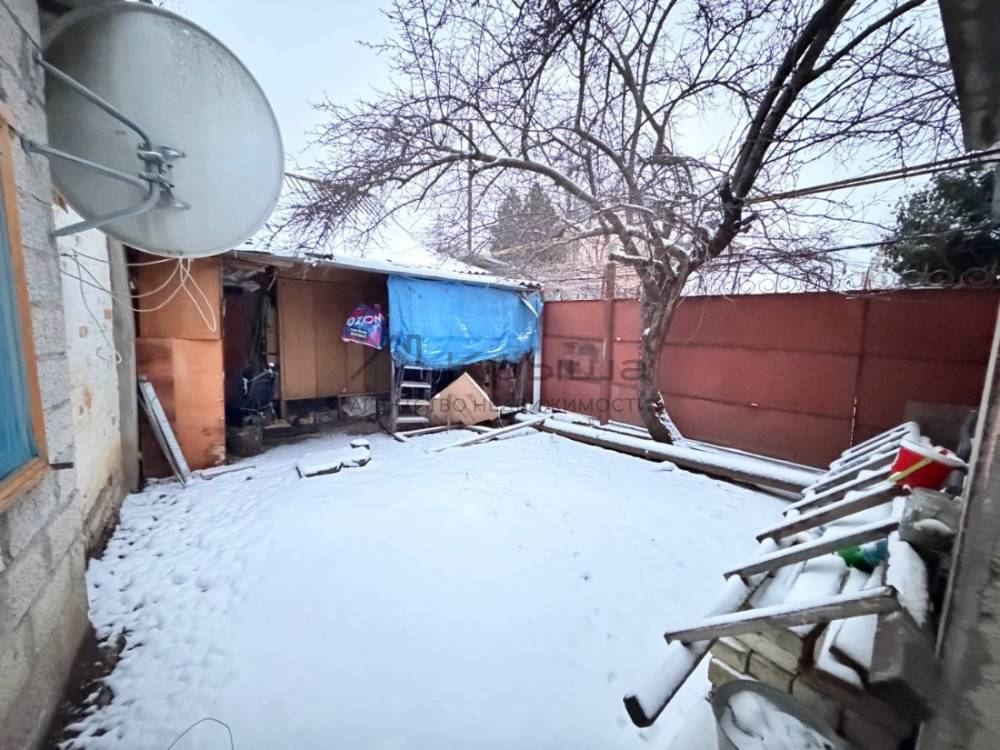 photo_2026-02-10 21.12.19